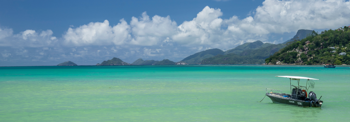 לאן טסים ועם איזו חברת תעופה? עושים לכם סדר